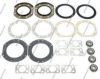 NPS SH3 Repair Kit, kingpin